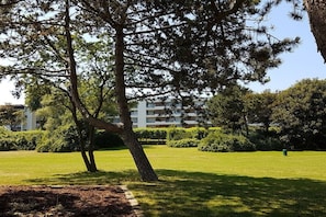 Ein Park mit einem großen Baum, einem gepflegten Rasen und einem Gebäude im Hintergrund.