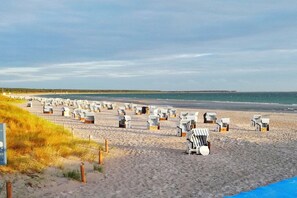 A beach with rows of striped beach chairs and umbrellas, a sandy shore, and the ocean in the background. - Baltic Sea dike (07) (Ostseebad Prerow)