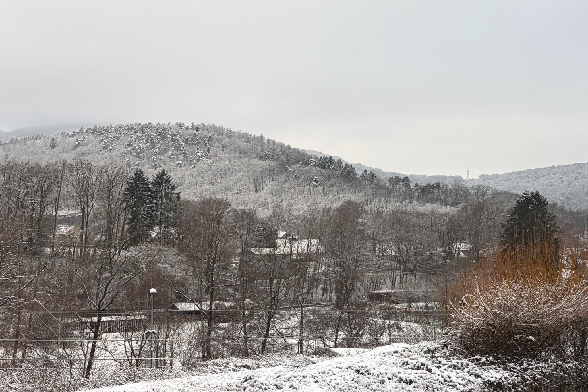 Un paysage enneigé avec une colline, des arbres et un bâtiment qui se dessine au loin.