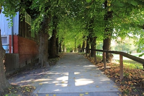 A pathway lined with trees and a fence on one side. - Holiday apartment with 1 bedroom (Otterndorf)