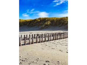 Beach - Do10 Apartment in the Center of Domburg (Domburg)