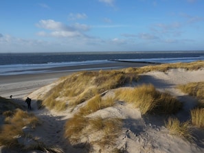 Ein Strand mit Dünen und freiem Blick auf das Meer.
