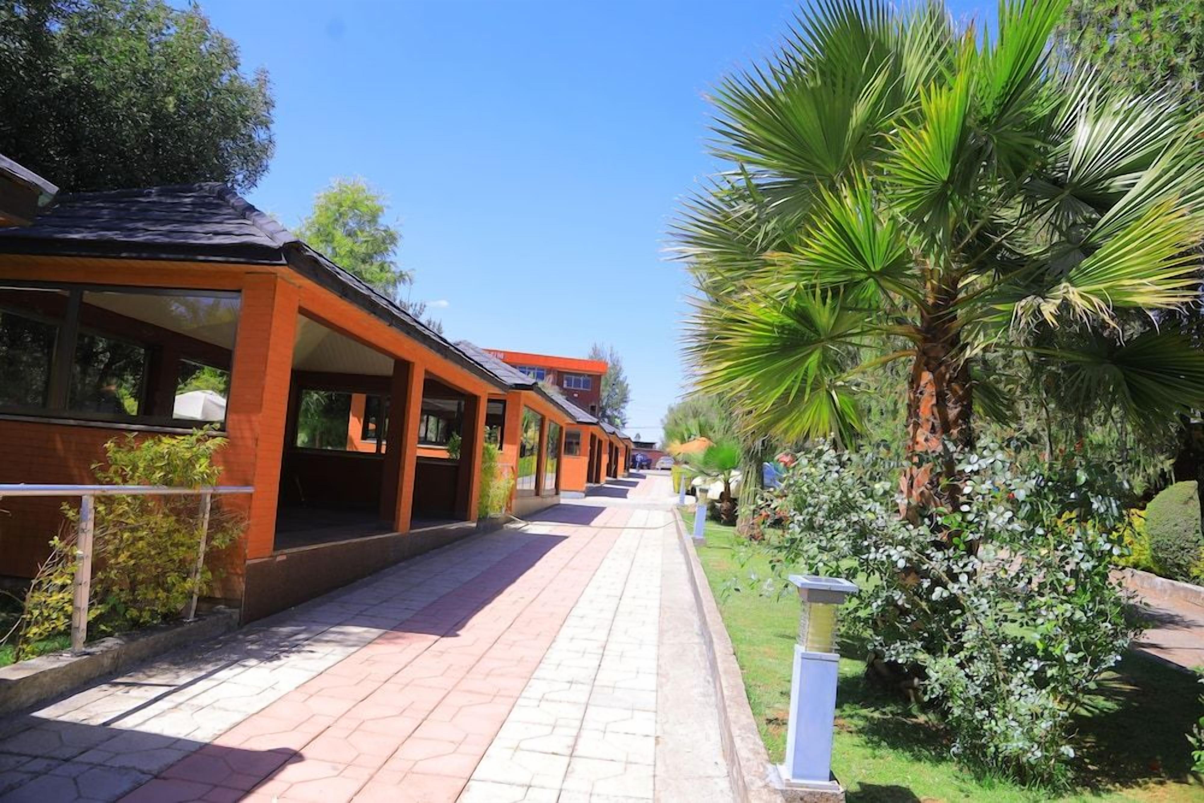 A pathway leading to a building with a covered outdoor area and a palm tree.
