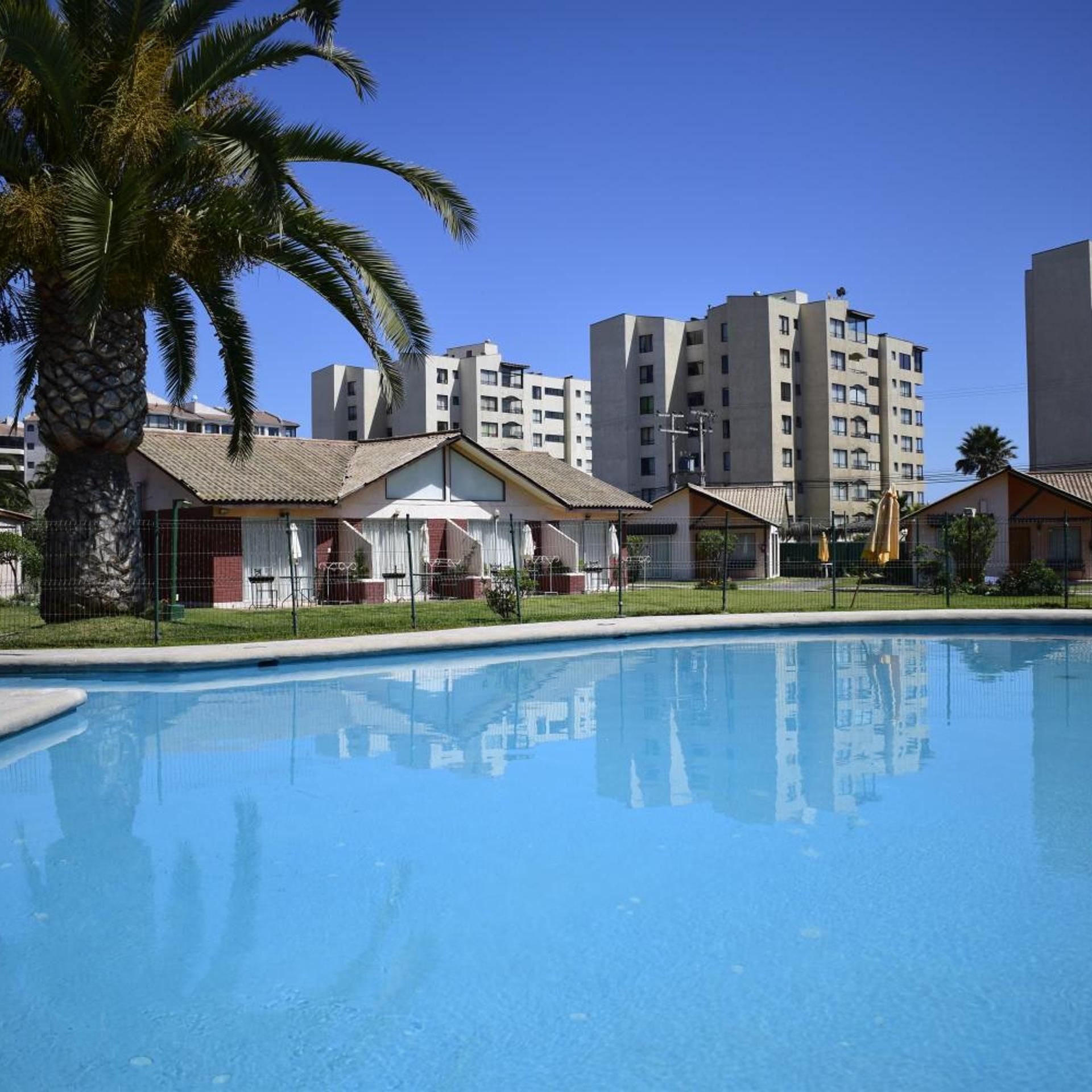 A swimming pool with a clear blue water surface, surrounded by residential buildings and a palm tree.