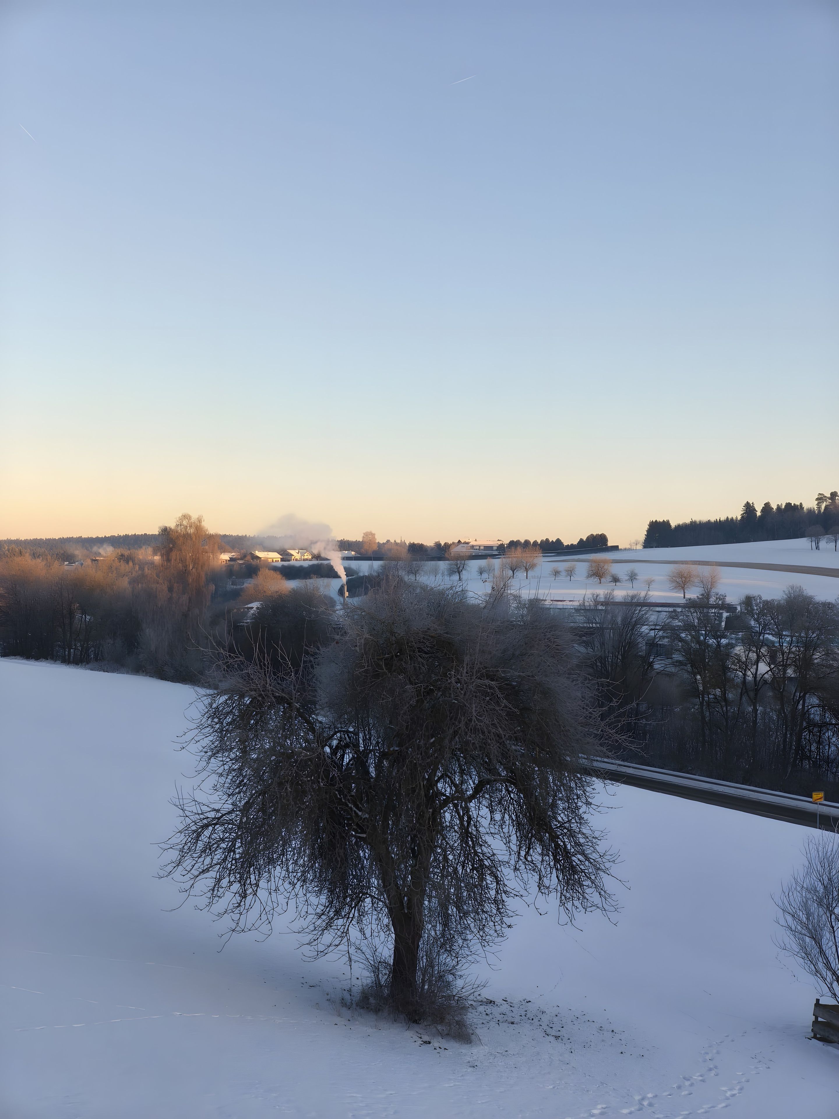 Schneebedeckte Landschaft mit einem Baum im Vordergrund und einem Gebäude in der Ferne.