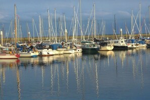Uma marina com vários barcos atracados em águas calmas.