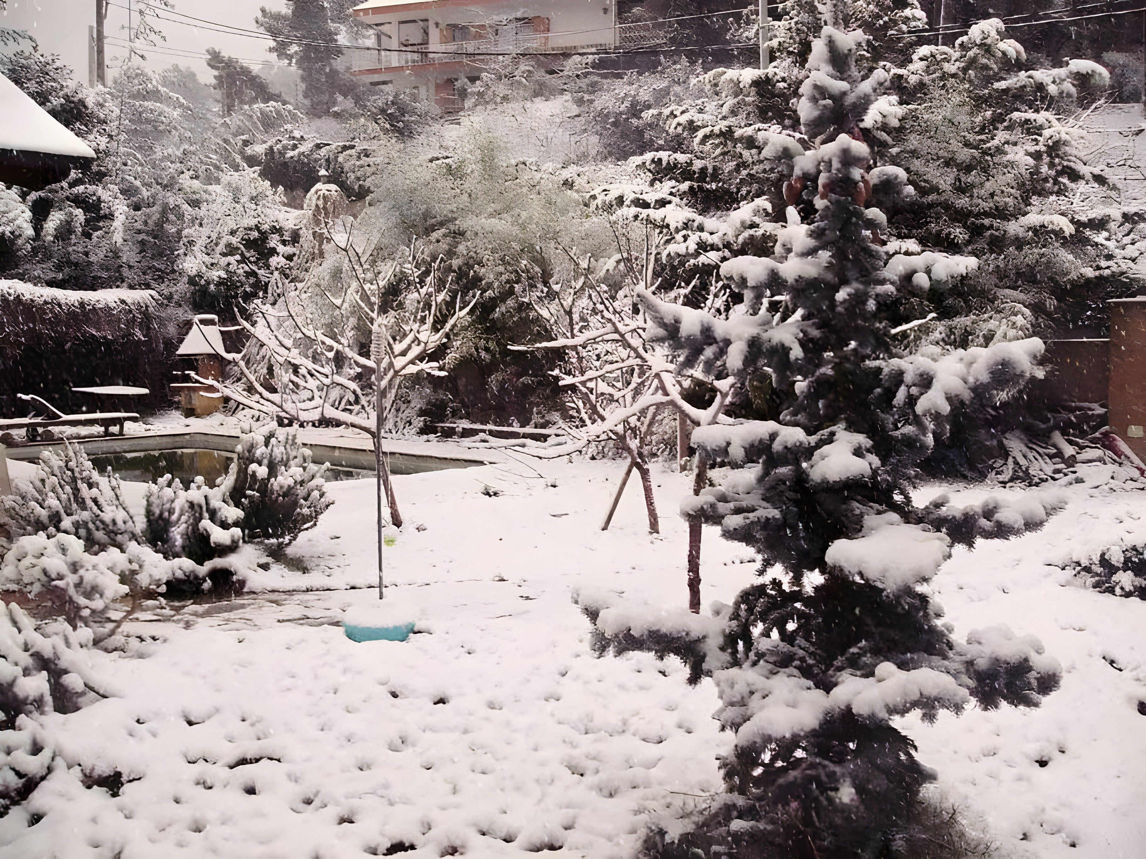 Un área exterior nevada con un pequeño estanque, árboles y un edificio al fondo.