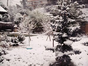 A snow-covered outdoor area with a small pond, trees, and a building in the background.