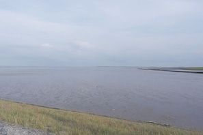 A wide, flat water body with a distant shoreline and a clear sky. - Guesthouse "Wangerland" for up to 4 people (Wangerland)