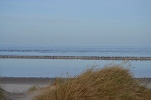 Una spiaggia con un mare calmo, una riva sabbiosa e un po' di erba sullo sfondo.