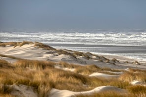 Une plage avec des dunes de sable et des vagues.