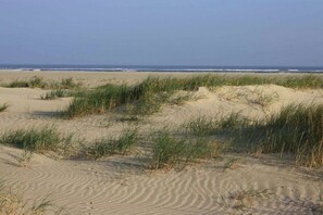 Ein sandiger Strand mit Dünen und Gras.
