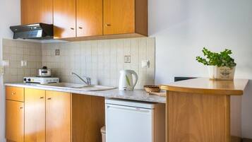 A compact kitchen with wooden cabinets, a Bosch dishwasher, a kettle, and a potted plant.