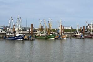 A marina with several boats docked, a clear sky, and a building in the background. - Holiday apartment with 1 bedroom (Norddeich)