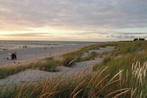 A beach with dunes and a few people in the distance. - Holiday apartment with 1 bedroom (Ostseebad Prerow)