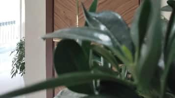 Una porta de fusta amb disseny modern, una petita làmpada a sobre i una planta al primer pla.