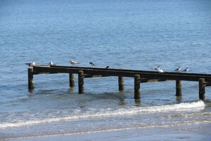 A pier extending into calm water with several birds perched on it. - Holiday apartment with 1 bedroom (Lübeck-Travemünde)