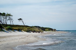 A beach with a sandy shore, gentle waves, and sparse vegetation. - Holiday apartment with 2 bedrooms (Born \/ Darss)
