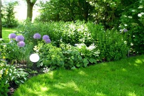 A garden with various plants and flowers, including purple spherical blooms and green foliage. - Holiday apartment with 2 bedrooms (Vollerwiek)