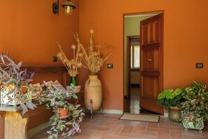 Un couloir avec une porte en bois, un grand vase contenant des plantes séchées et diverses plantes en pot disposées sur un banc en bois.
