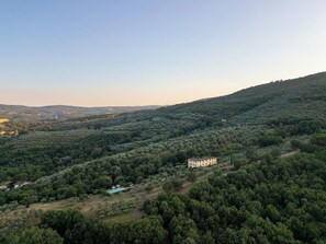 Eine ländliche Landschaft mit einem großen Gebäude, das von üppigem Grün umgeben und einen kleinen Pool hat.