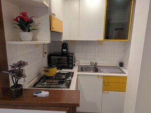 A compact kitchen with a gas stove, a microwave, a sink, and a small countertop area. - Lake View Apt. w/ Wi-Fi & Parking in San Feliciano (San Feliciano)