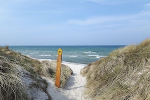 A sandy path leading to the sea with a wooden post marked 'FKK1'. - Holiday apartment with 1 bedroom (Ostseebad Prerow)