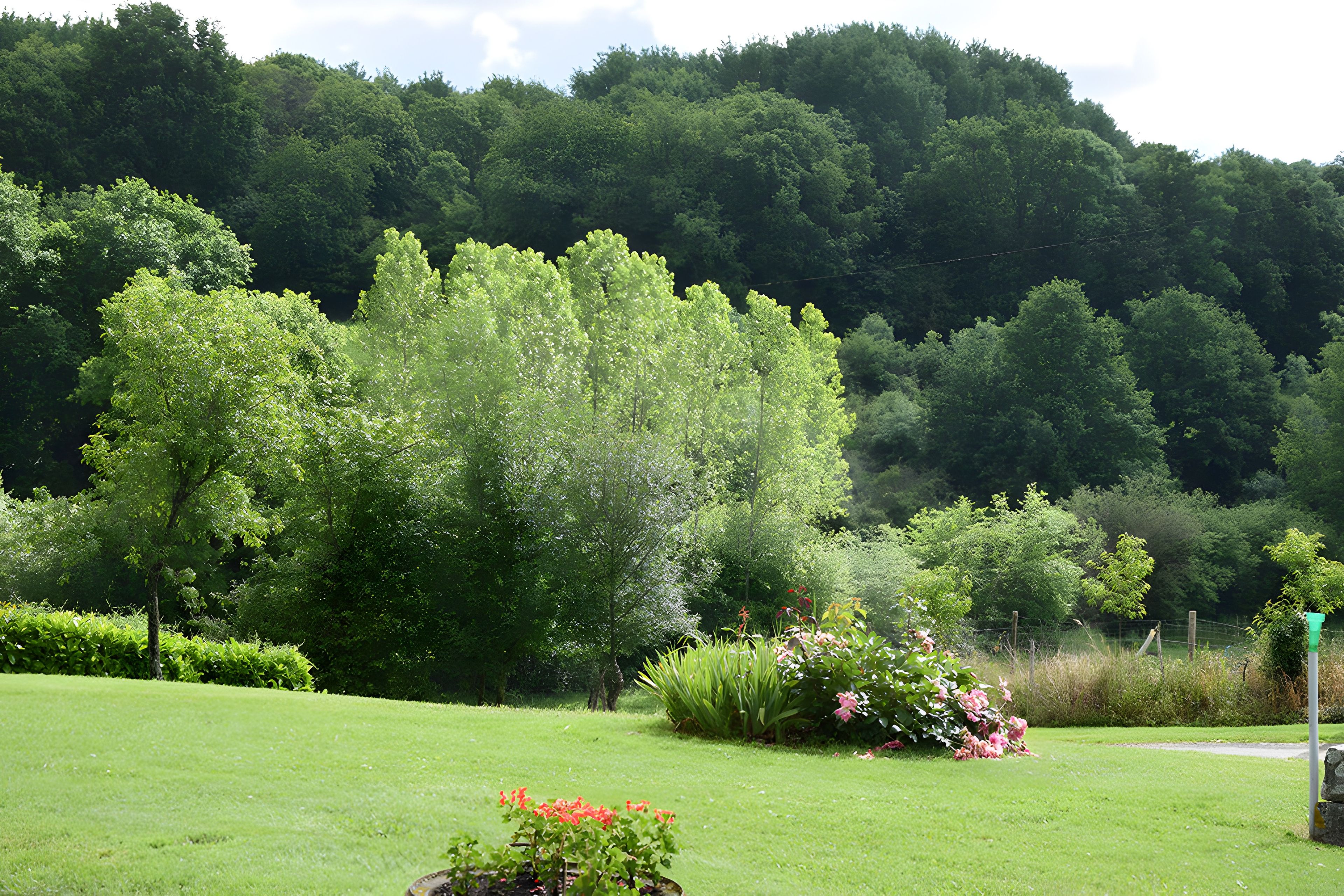 Un paysage verdoyant et luxuriant, avec une grande variété d’arbres et une pelouse bien entretenue.