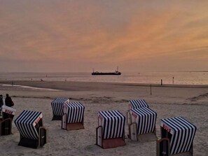Beach chairs with numbers, a calm sea, and a ship in the distance. - 4 in Villa Seegatt (Norderney)
