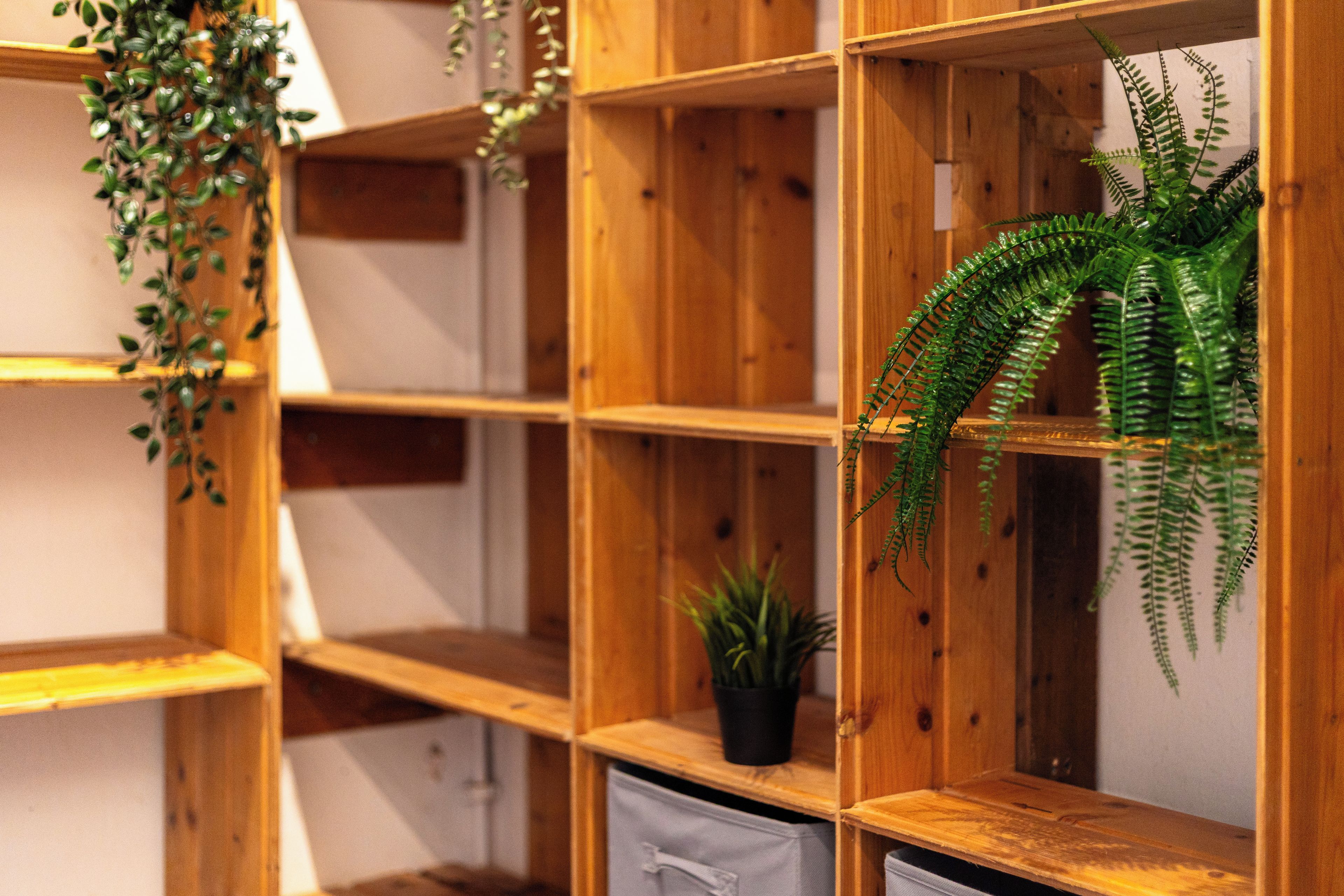 A wooden shelving unit with a potted plant on the bottom shelf.