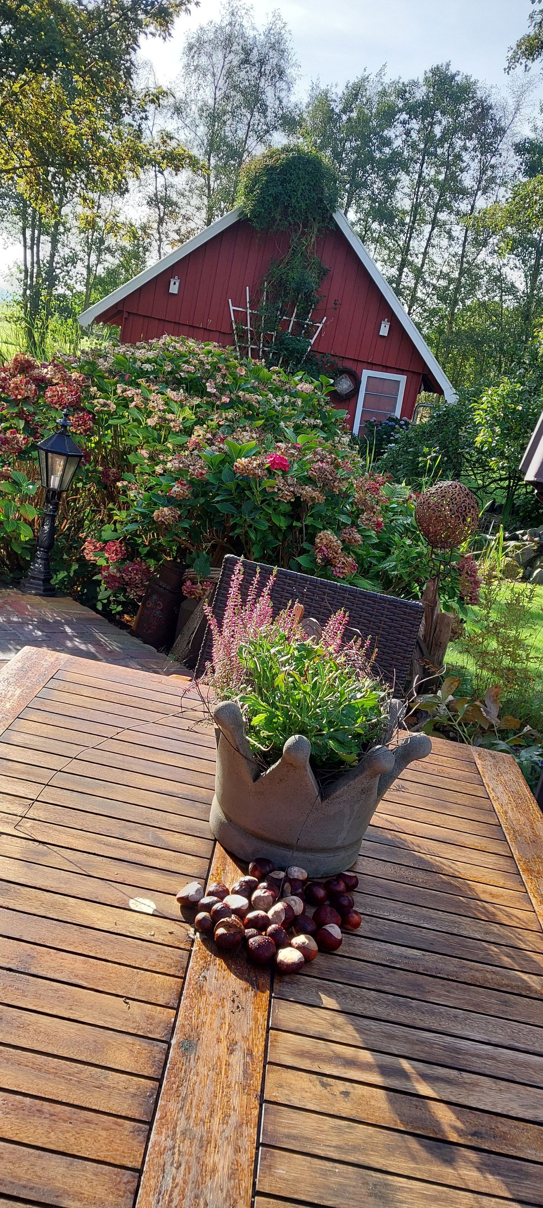 Eine Holzterrasse mit einem Blumentopf und einem Steingartenbehälter voller Kastanien.