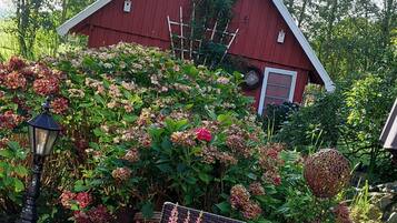 Eine Holzterrasse mit einem Blumentopf und einem Steingartenbehälter voller Kastanien.