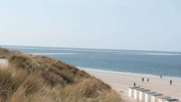 A beach with a sandy shore, grassy dunes, and a clear sky.