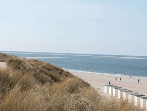 A beach with a sandy shore, grassy dunes, and a clear sky. - Cabin in Renesse With Swimming Pool (Renesse)