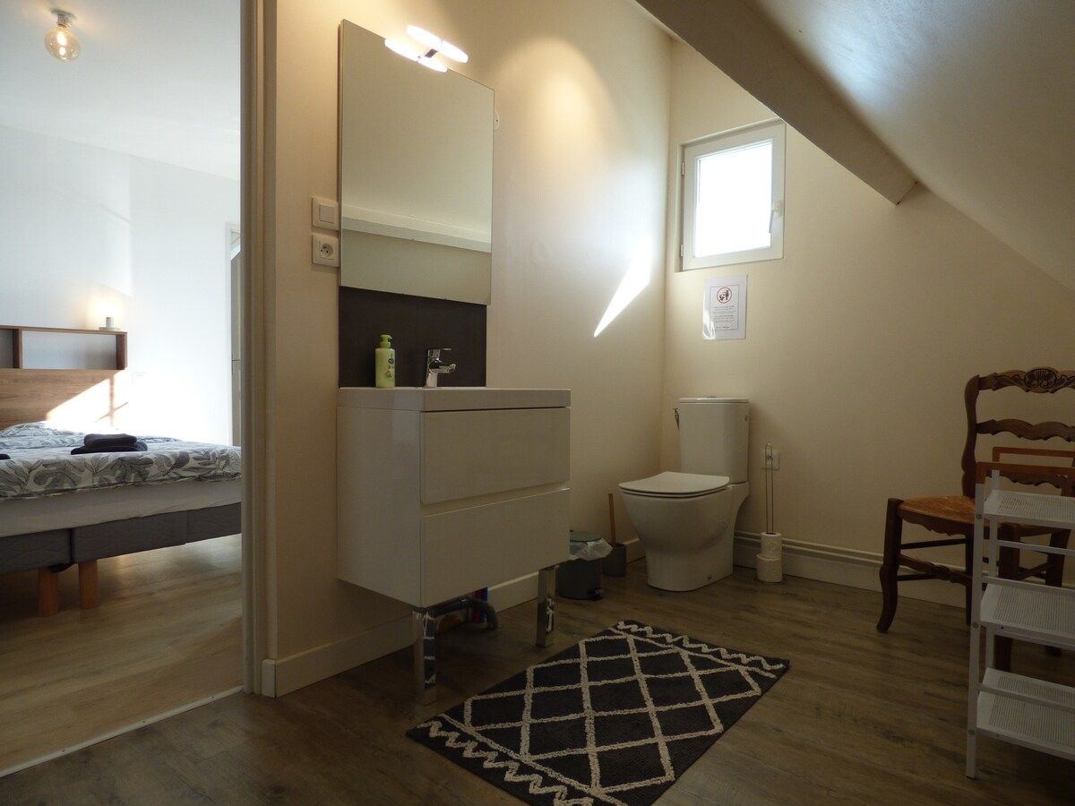 A bedroom with a bed, a dresser, a mirror, a window, and a toilet.