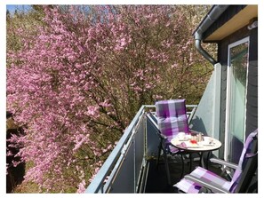 Outdoor dining - Mountain Magic in the Center (Willingen)