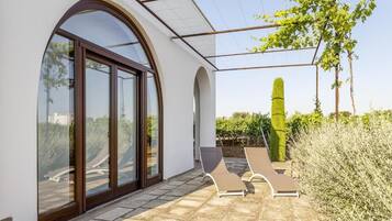 A modern building with large glass doors, a patio with lounge chairs, and a vineyard in the background.