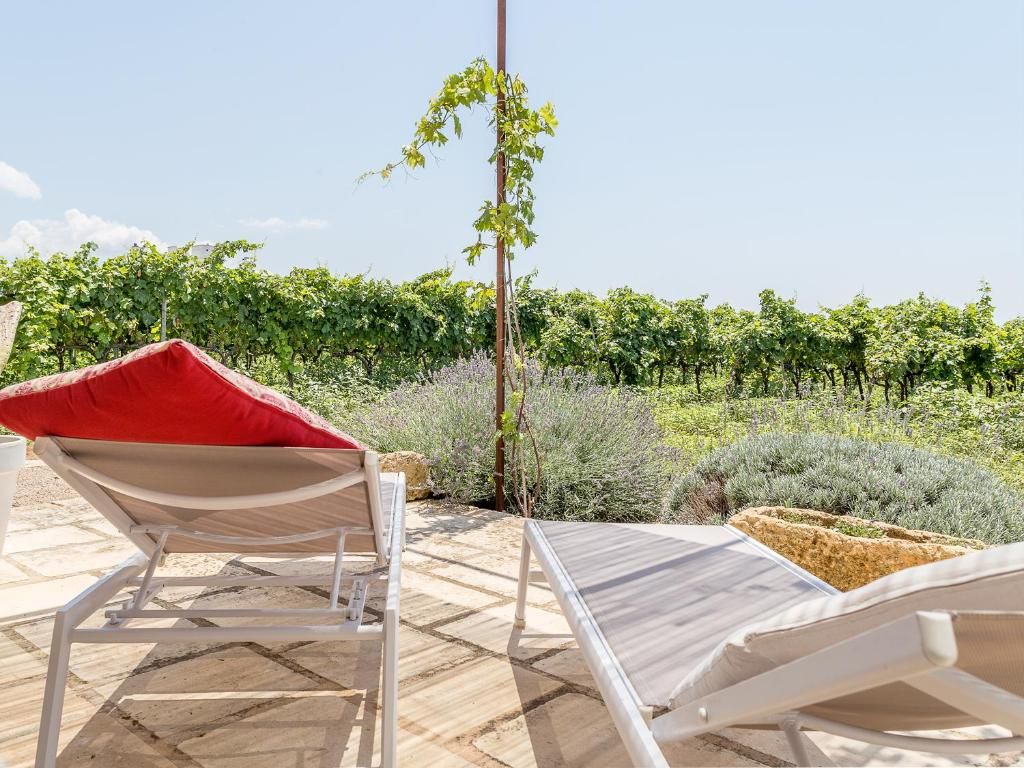Two white lounge chairs with red cushions, a small table, and a view of a vineyard.