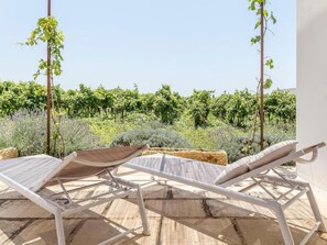 A terrace with two white lounge chairs and a view of a vineyard.