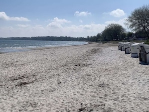 A sandy beach with a row of white beach chairs and a tree line in the background. - Holiday Home With 4 Bedrooms (Gluecksburg)