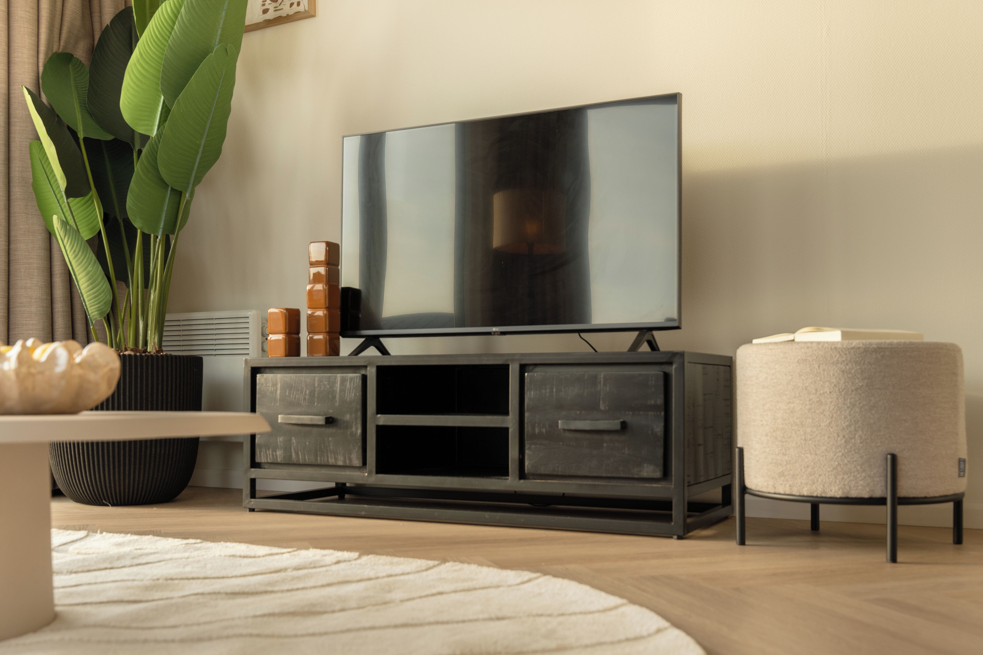 Een moderne woonkamer met een flatscreen televisie op een zwart kastje, een ronde fauteuil en een grote groene plant.
