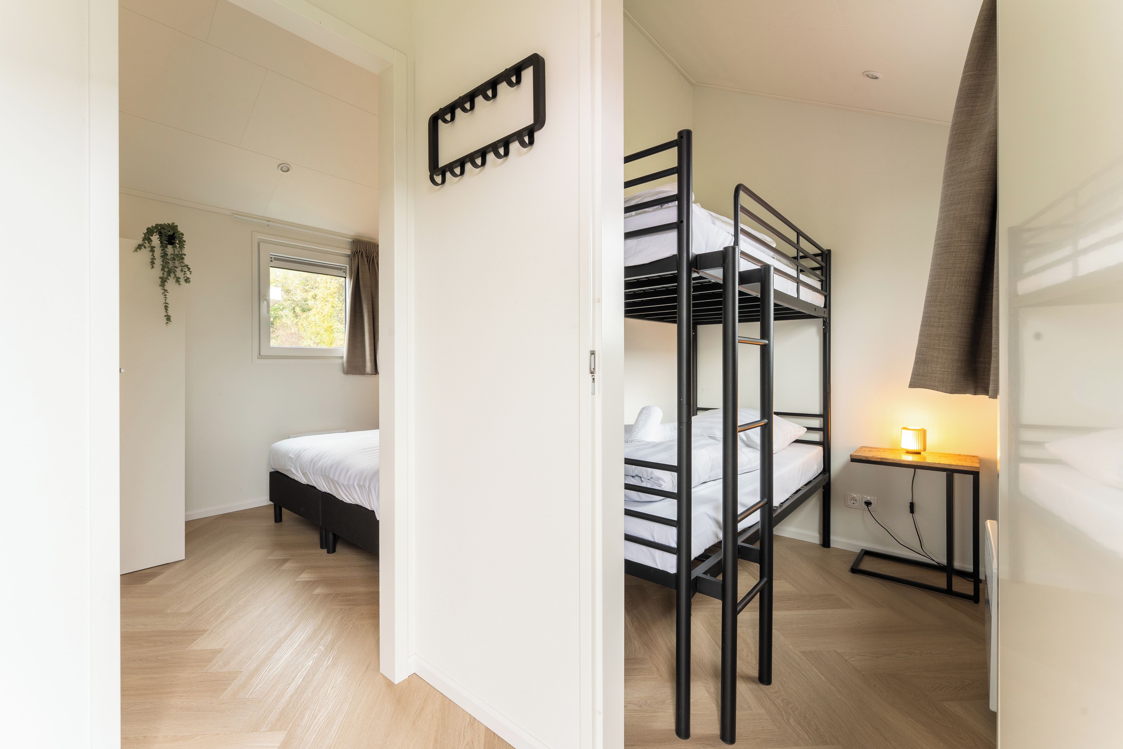 Une chambre de dortoir avec des lits superposés, une table de chevet avec une lampe, une fenêtre avec des rideaux et une plante en pot.
