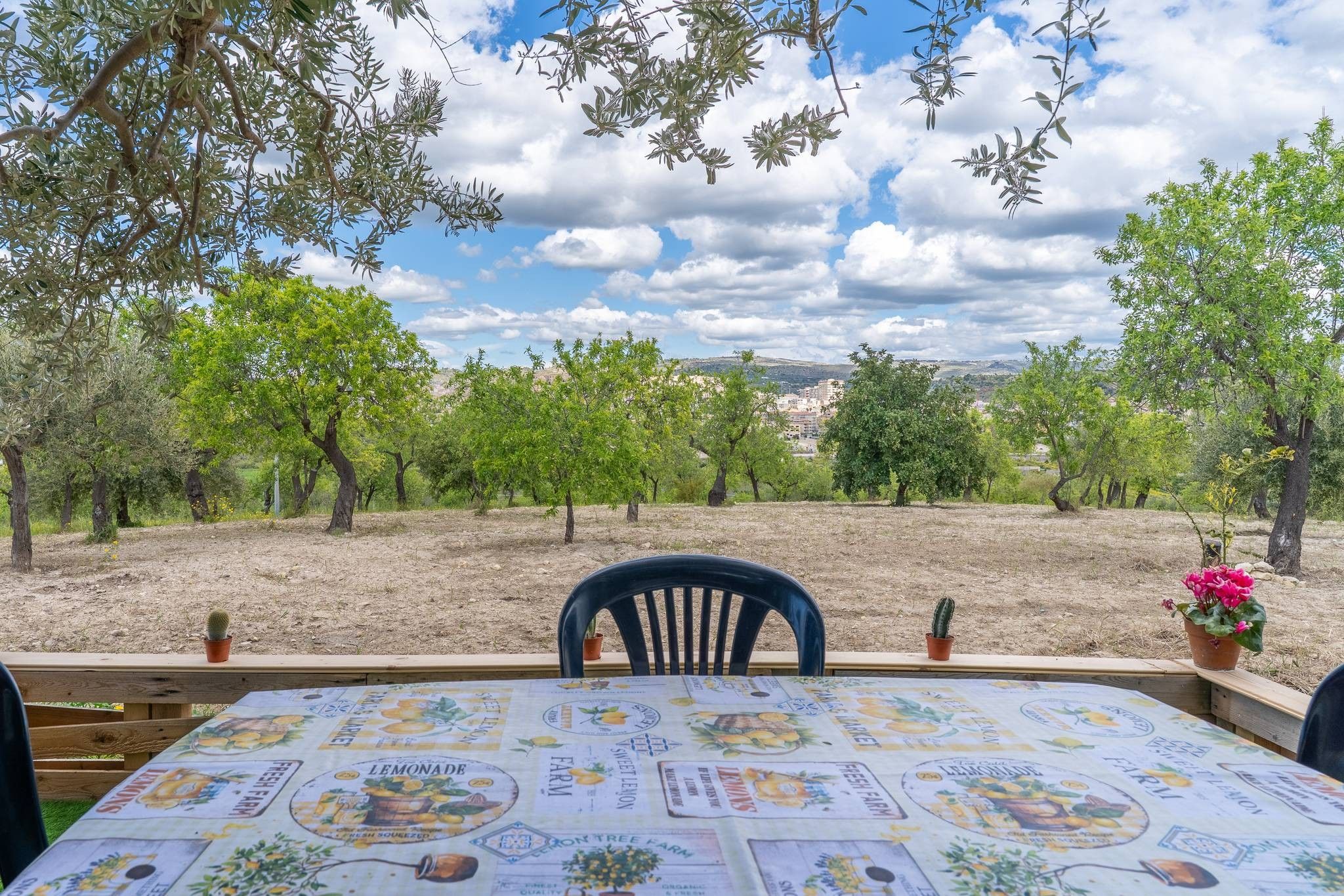 An outdoor dining area with a table covered in a tablecloth featuring fruit and vegetable prints, surrounded by olive trees and a clear sky.