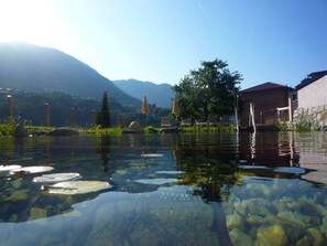 A clear pool with rocks and lily pads, surrounded by mountains and a building with a red roof. - Holiday Apartment With 1 Bedroom (Caines)
