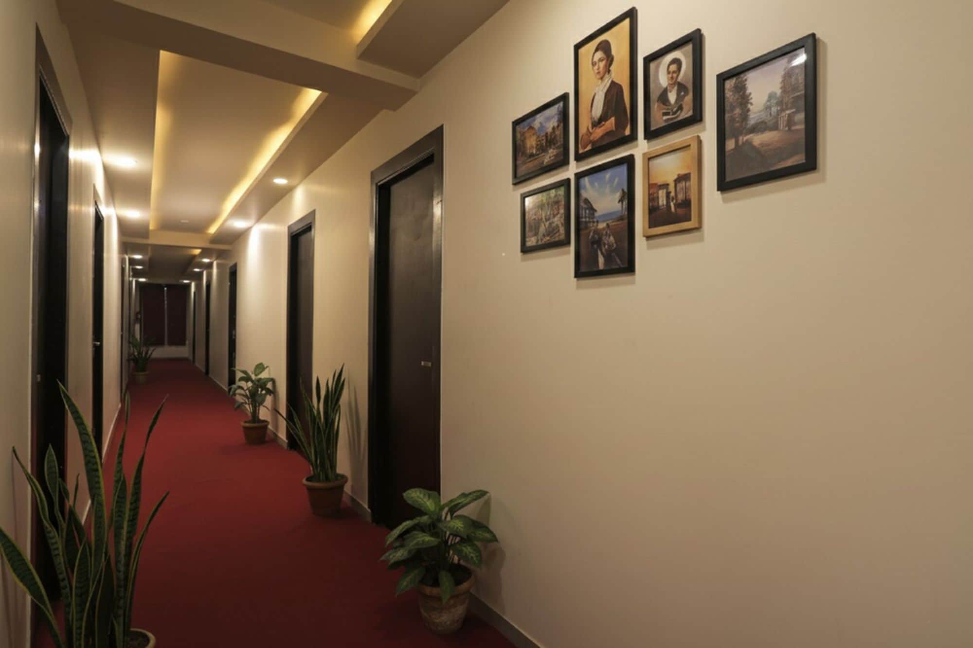 Un corridoio d'hotel con tappeto rosso, piante in vaso e quadri appesi alle pareti.