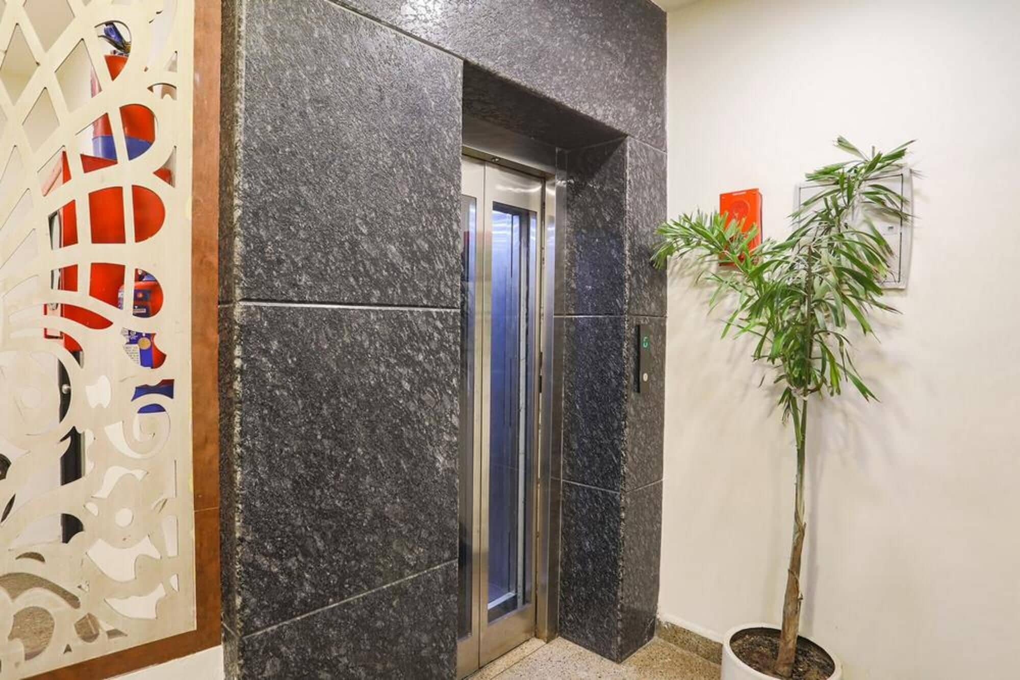 Un ascenseur à l’intérieur métallique, avec une plante fixée au mur à côté.