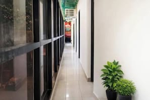 A corridor with glass doors and potted plants.