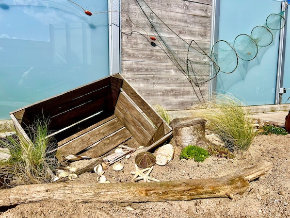 A wooden bench, starfish, and shells on a sandy beach with a wooden fence and a blue building in the background.