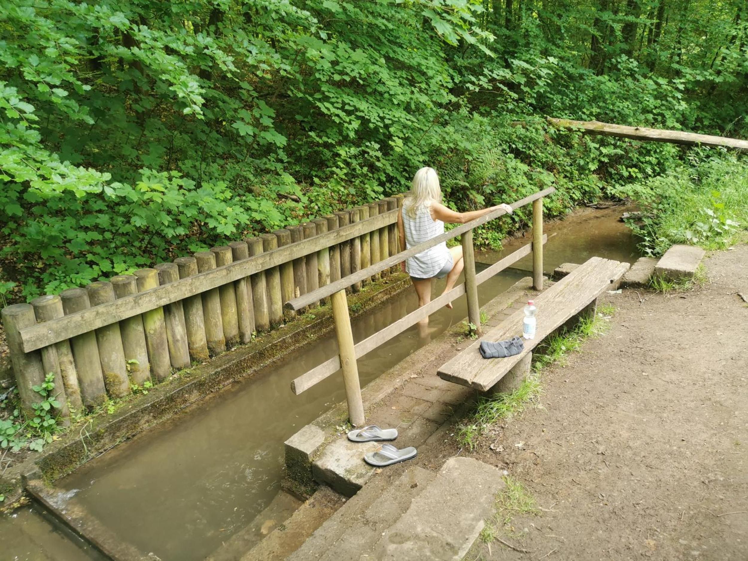 Una persona al peu d'un pont de fusta sobre un canal d'aigua, envoltada de vegetació.
