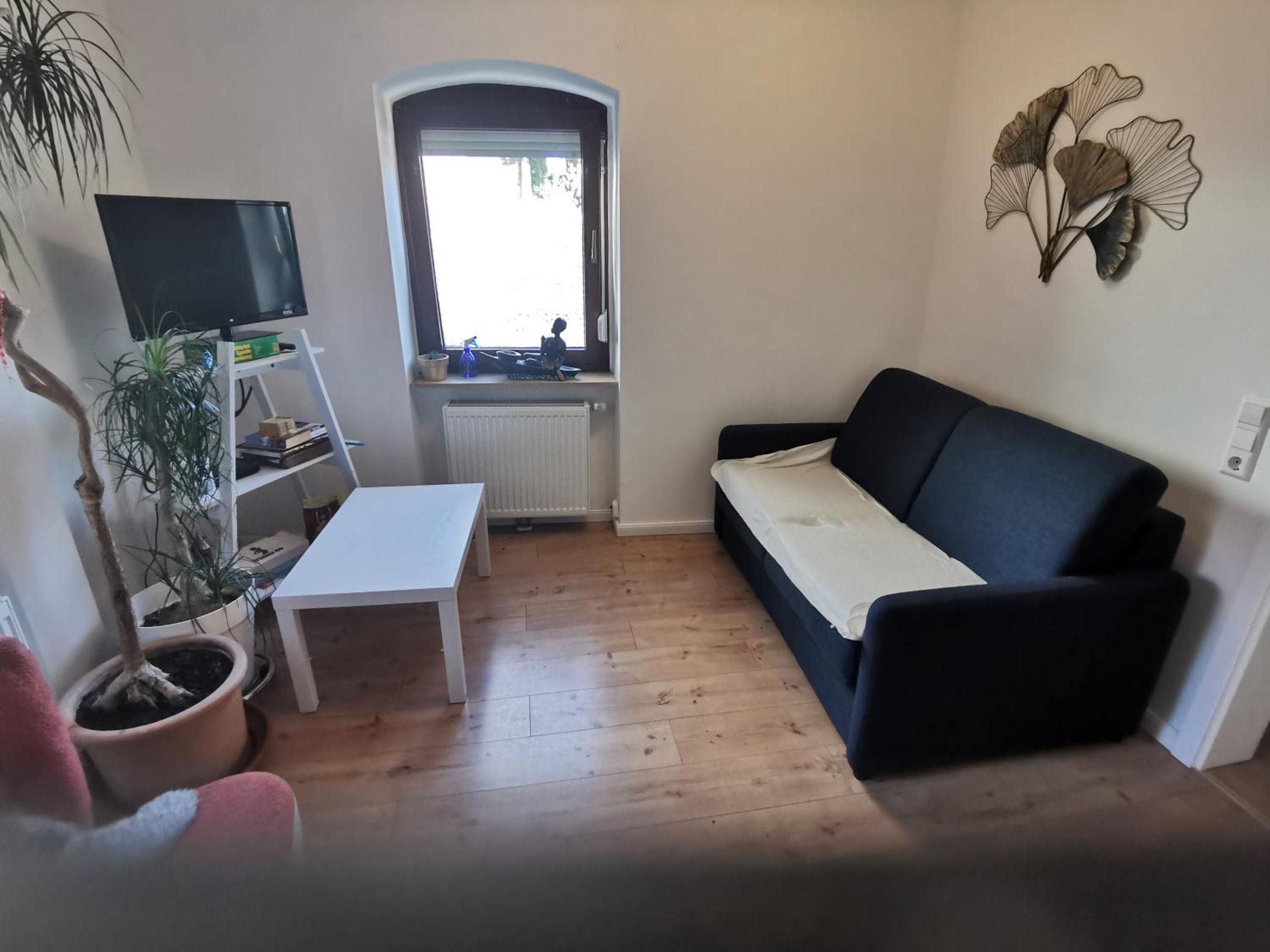 Un salon avec un canapé, une table basse, un téléviseur, une plante en pot et un radiateur.